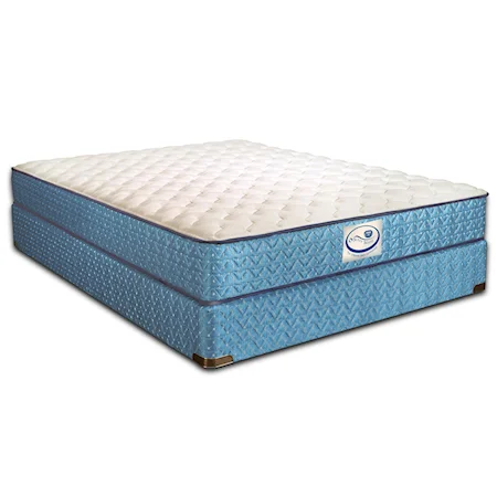 Queen Firm Mattress and Eco-Wood Base